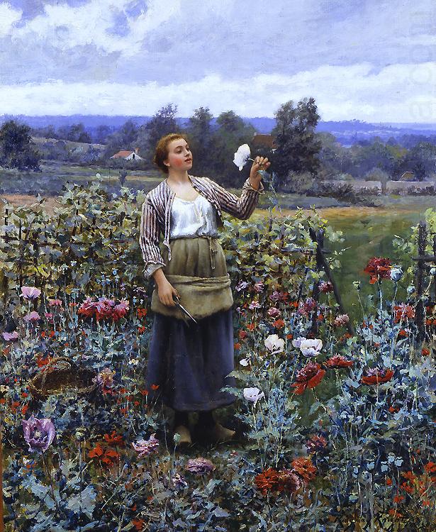 Picking Poppies, Daniel Ridgeway Knight